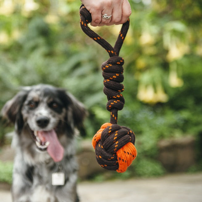 P.L.A.Y. Scout & About Rope Toy Tug Ball Large Liberty Pet Products Limited