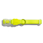 Ltd Edition, Sold Out : Zee.Dog NeoPro Collar - Lime
