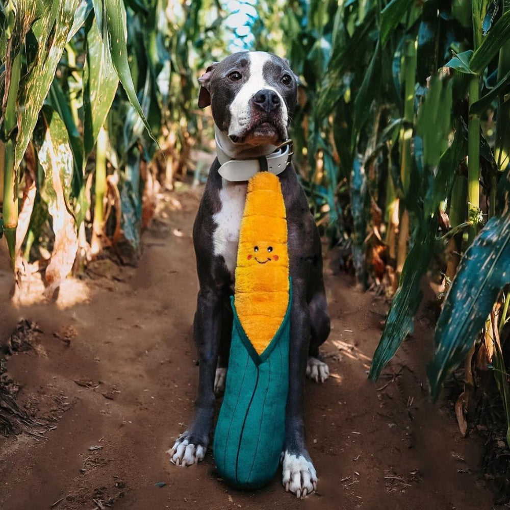 ZippyPaws Jigglerz - LARGE Corn