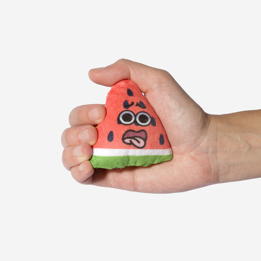 CDSG Cat Toy - Marli Watermelon