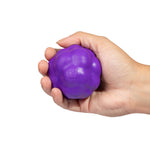 NEW!  Zee.Dog House of 3D Toy - Ball