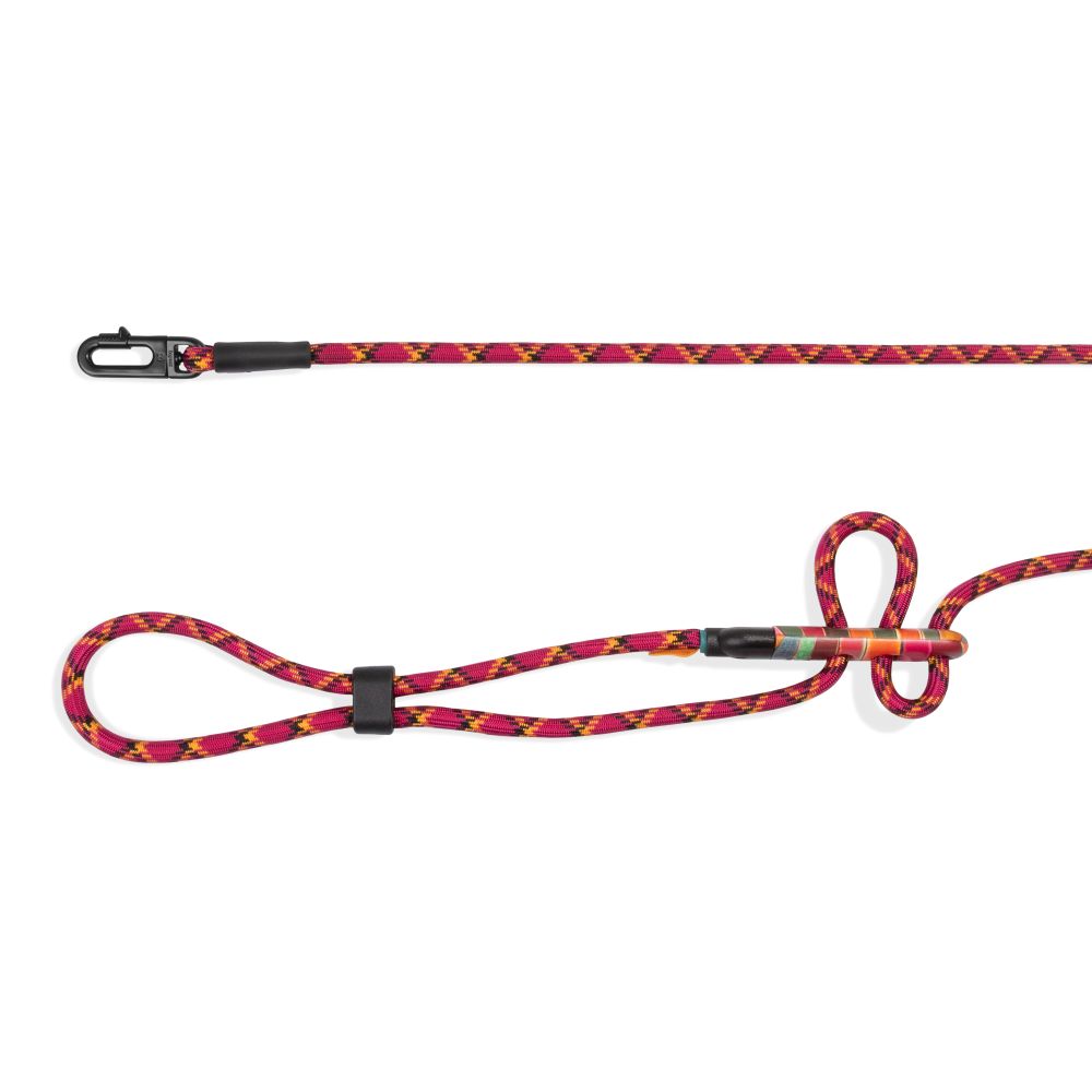 Zee.Dog Hands-Free Leash - Selva