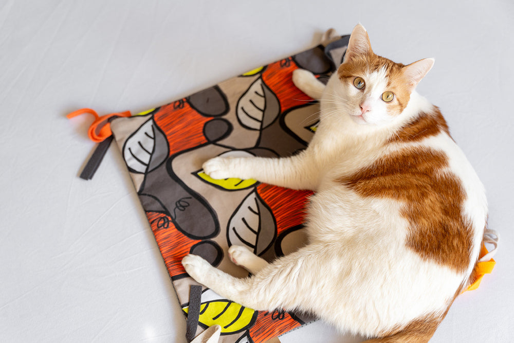 P.L.A.Y. Feline Frenzy - Purrfect Playtime Mat