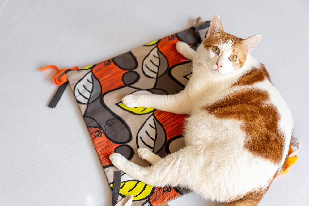 NEW!  P.L.A.Y. Feline Frenzy - Purrfect Playtime Mat