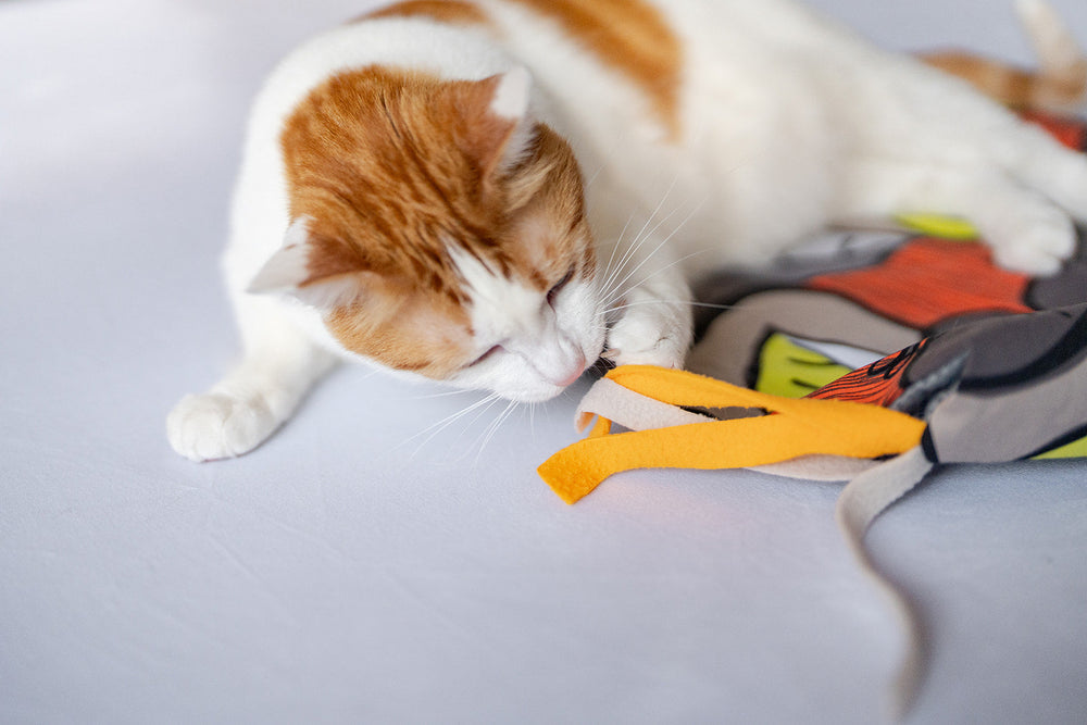 P.L.A.Y. Feline Frenzy - Purrfect Playtime Mat