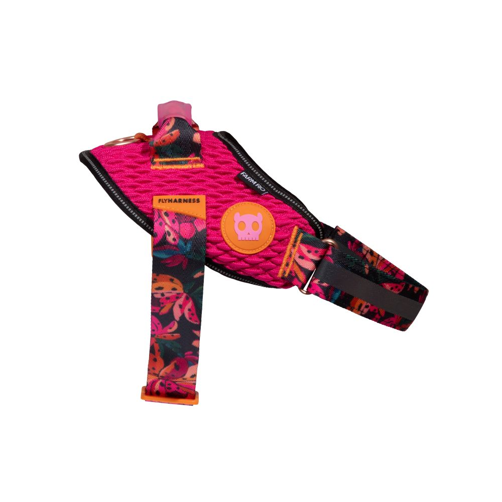 Zee.Dog FlyHarness - Selva