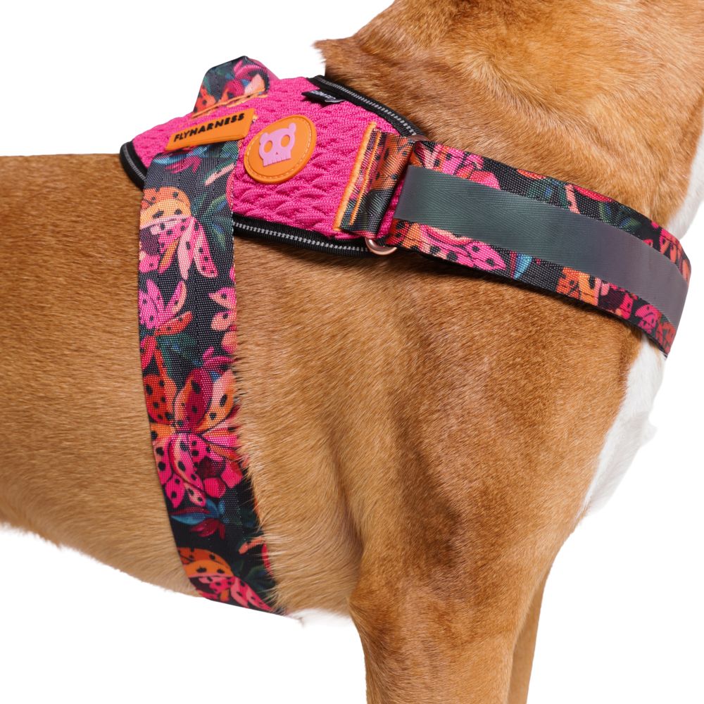 Zee.Dog FlyHarness - Selva