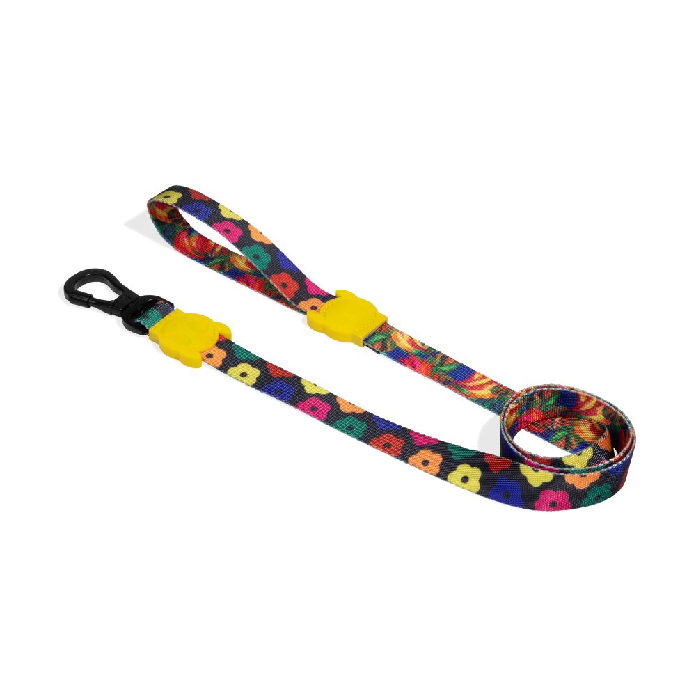 Zee.Dog Leash - Samba