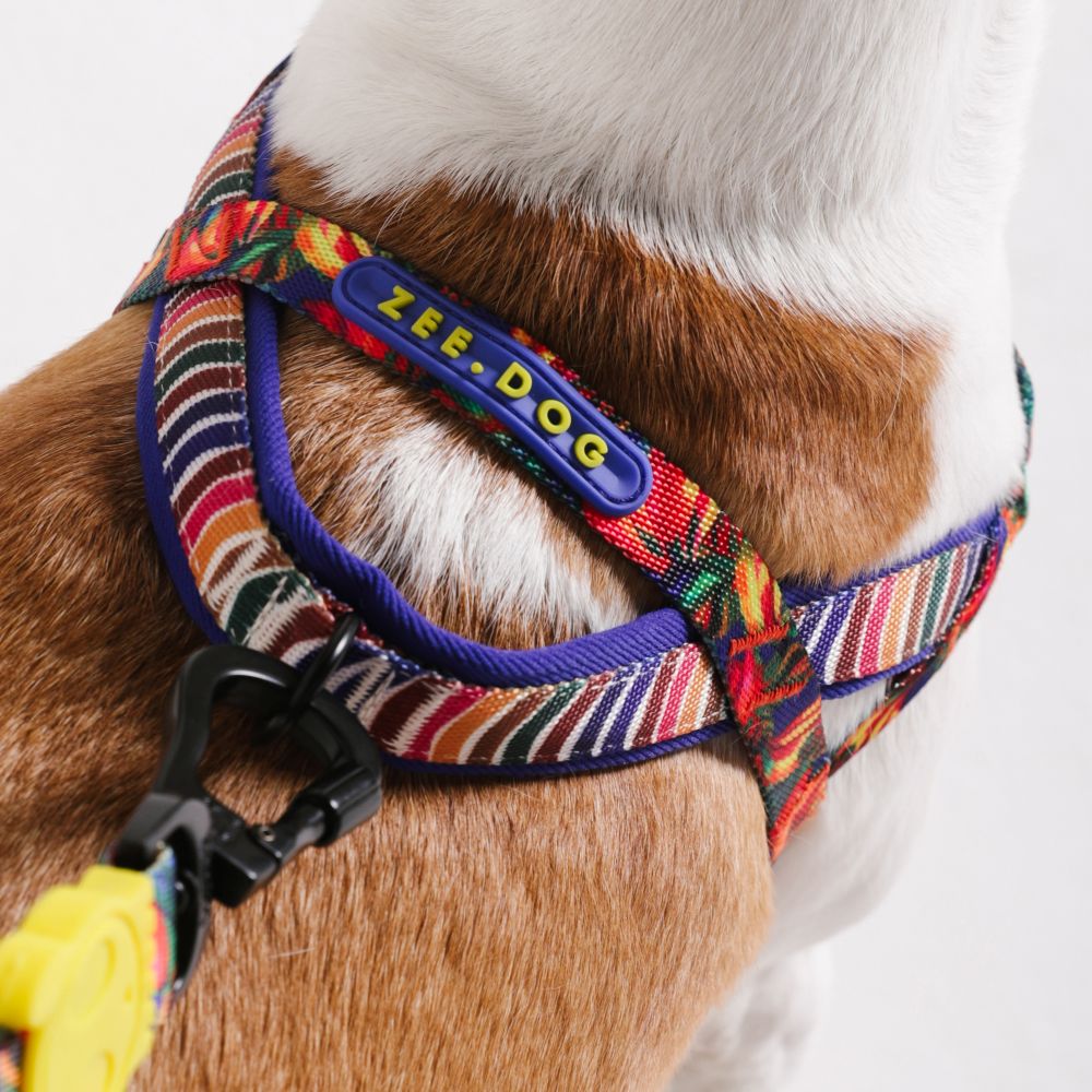 Zee.Dog Softer Walk Harness - Samba