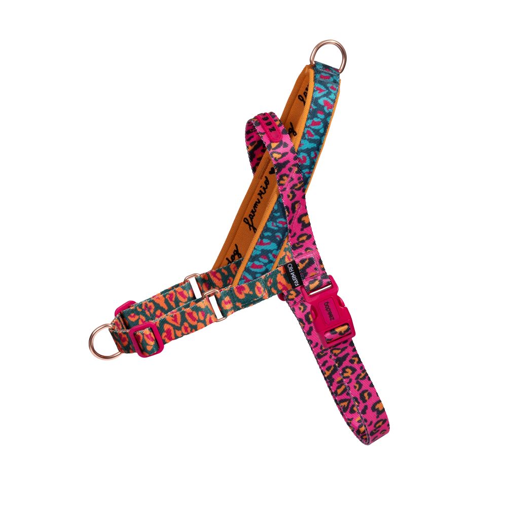 Zee.Dog Softer Walk Harness - Selva