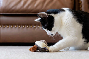 P.L.A.Y. Feline Frenzy - Bandit Buddies Toy Set
