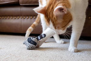 P.L.A.Y. Feline Frenzy - Bandit Buddies Toy Set