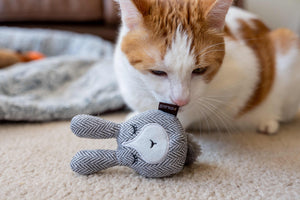 NEW!  P.L.A.Y. Feline Frenzy - Foxsy & Hopsy Toy Set