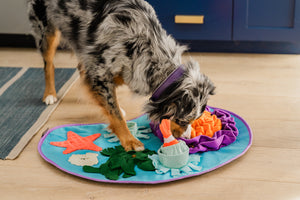 NEW!  P.L.A.Y. Coral Cove Snuffle Mat