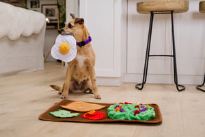 NEW!  P.L.A.Y. Savory Sunrise Snuffle Mat