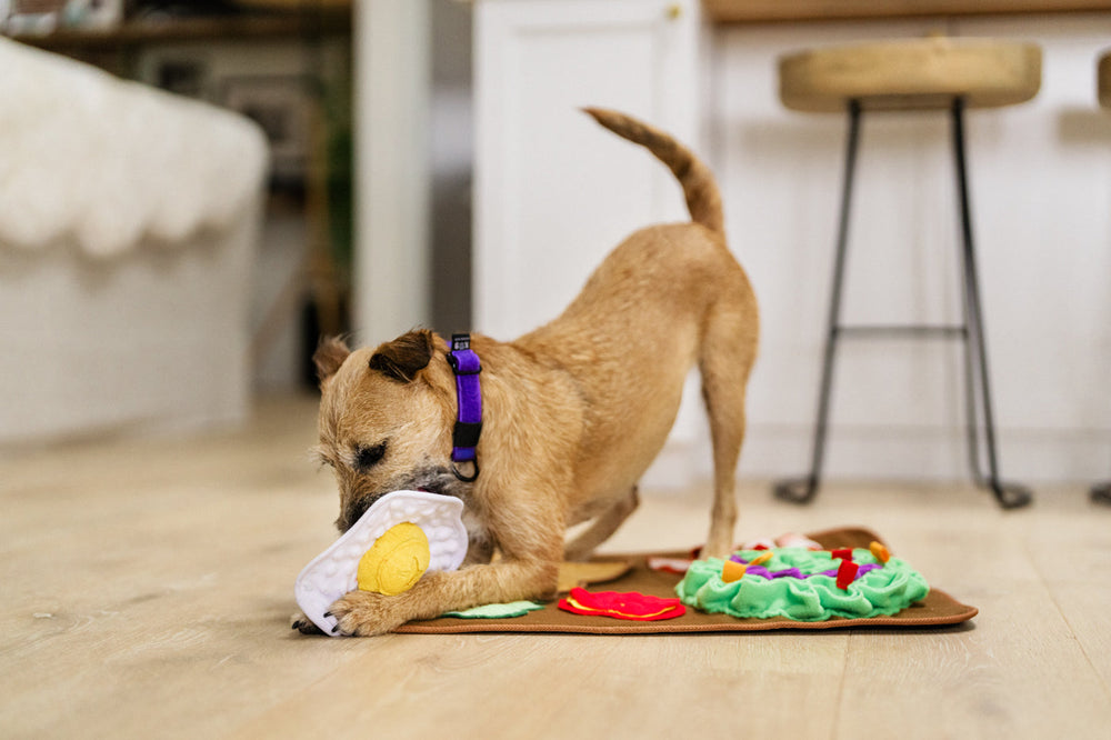 NEW!  P.L.A.Y. Savory Sunrise Snuffle Mat