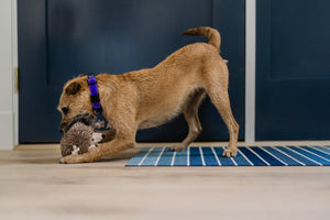 P.L.A.Y.  Forest Friends Hamilton the Hedgehog