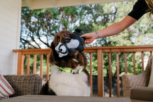 P.L.A.Y.  Forest Friends Robby the Raccoon