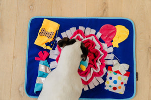 NEW!  P.L.A.Y. Woof-day Celebration Snuffle Mat