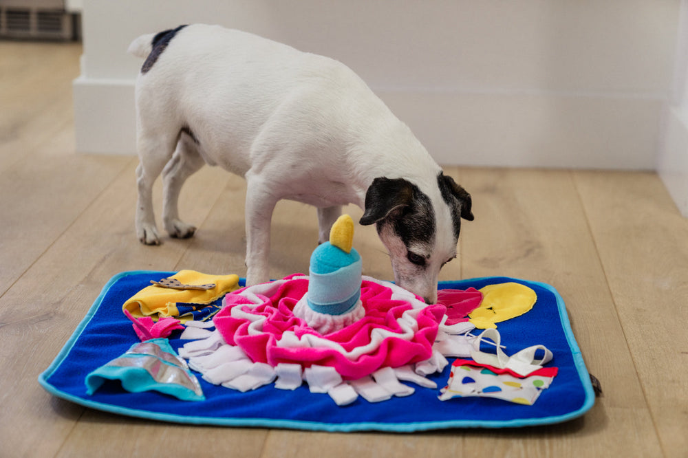 NEW!  P.L.A.Y. Woof-day Celebration Snuffle Mat