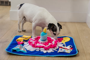 NEW!  P.L.A.Y. Woof-day Celebration Snuffle Mat