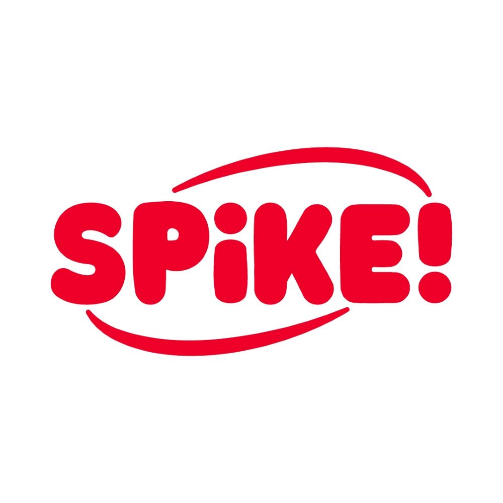 
            
                Load image into Gallery viewer, NEW!  Spike Treat Square Dog Toy
            
        