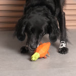 NEW!  Zee.Dog Super Veggiez Toy - Carrot