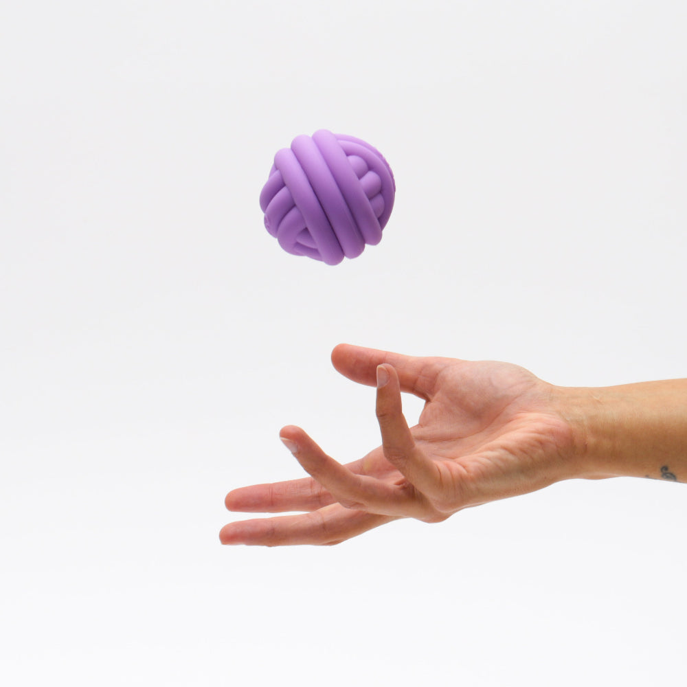 CDSG Treat Ball for Cats