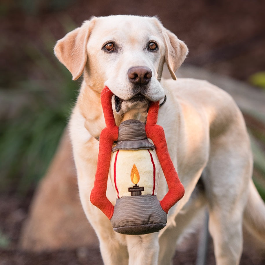 P.L.A.Y. Camp Corbin Collection - Pack Leader Lantern