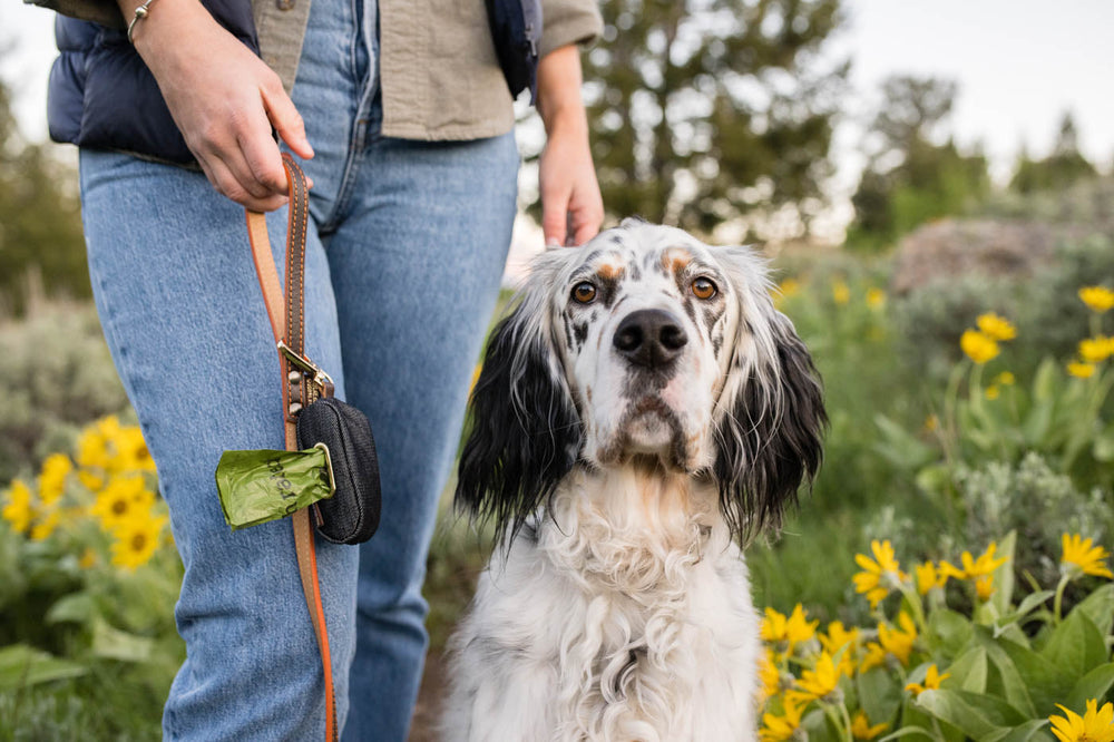 NEW!  P.L.A.Y.  Proper Pup Poop Bag Dispenser - Urban Denim