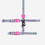 Ltd Edition, Sold Out : Zee.Cat Harness with Leash - Aura