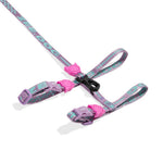 Ltd Edition, Sold Out : Zee.Cat Harness with Leash - Aura