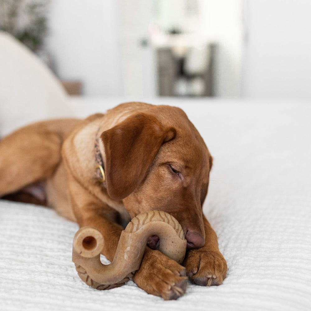 
            
                Load image into Gallery viewer, Benebone Tripe Beef Bone - Large
            
        