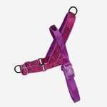 NEW!  Zee.Dog Softer Walk Harness - Brain