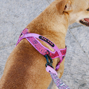 NEW!  Zee.Dog Softer Walk Harness - Brain