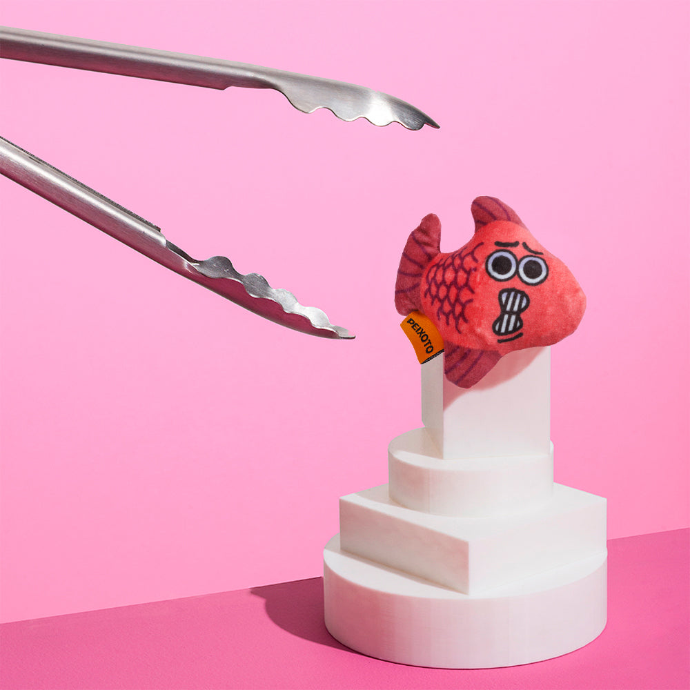 CDSG Cat Toy - Peixoto Red Fish