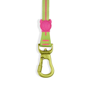 NEW!  Zee.Dog Long Leash - CMYK