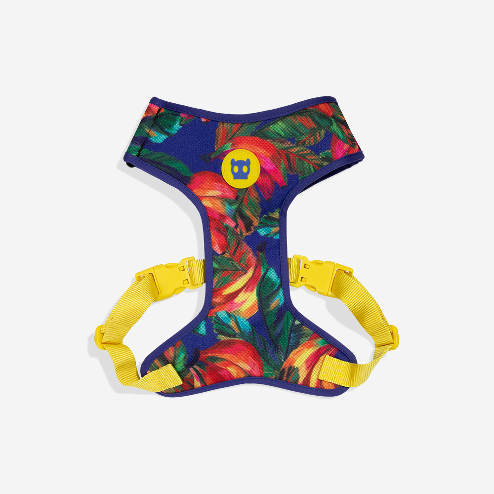 Zee.Dog Mesh Harness - Samba