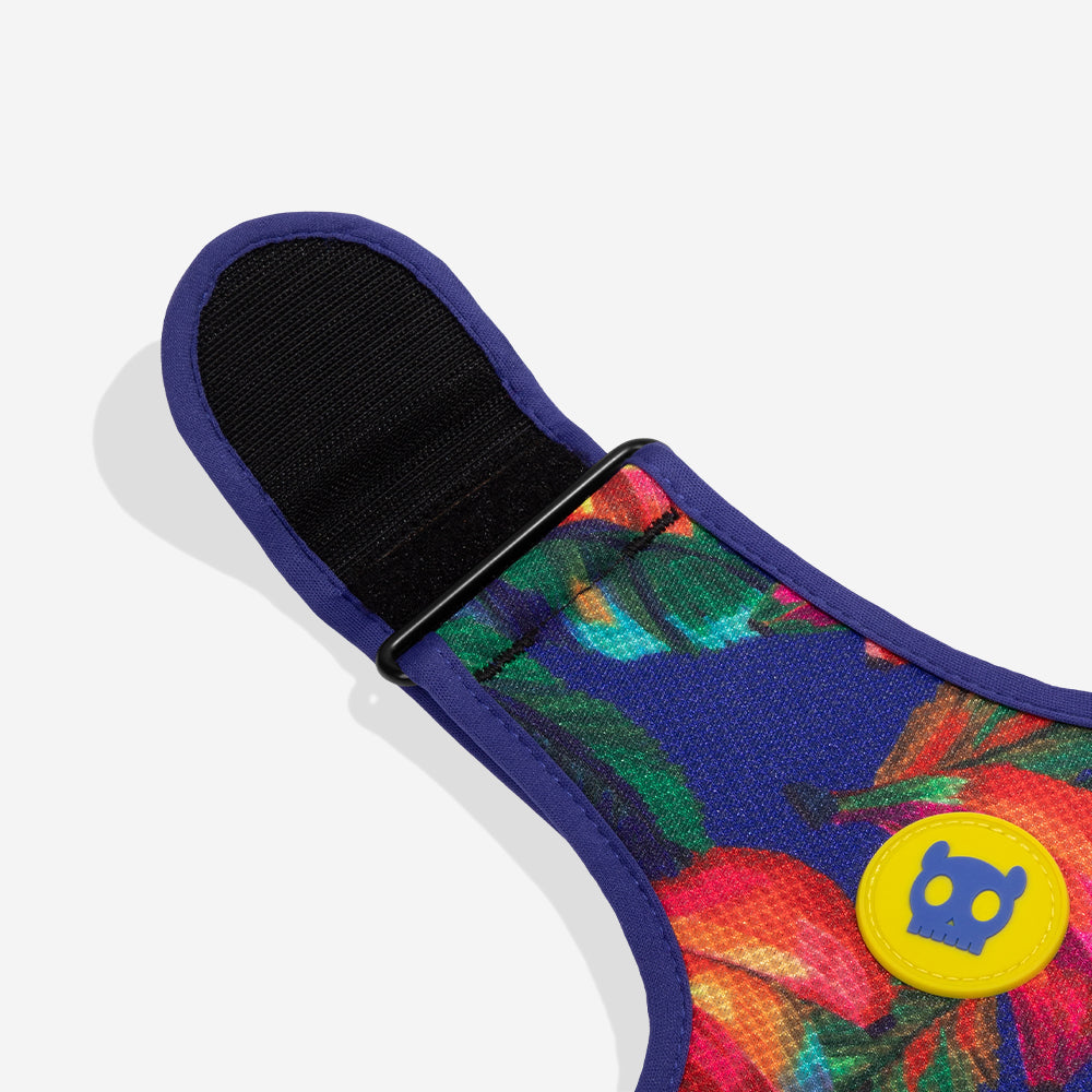 Zee.Dog Mesh Harness - Samba