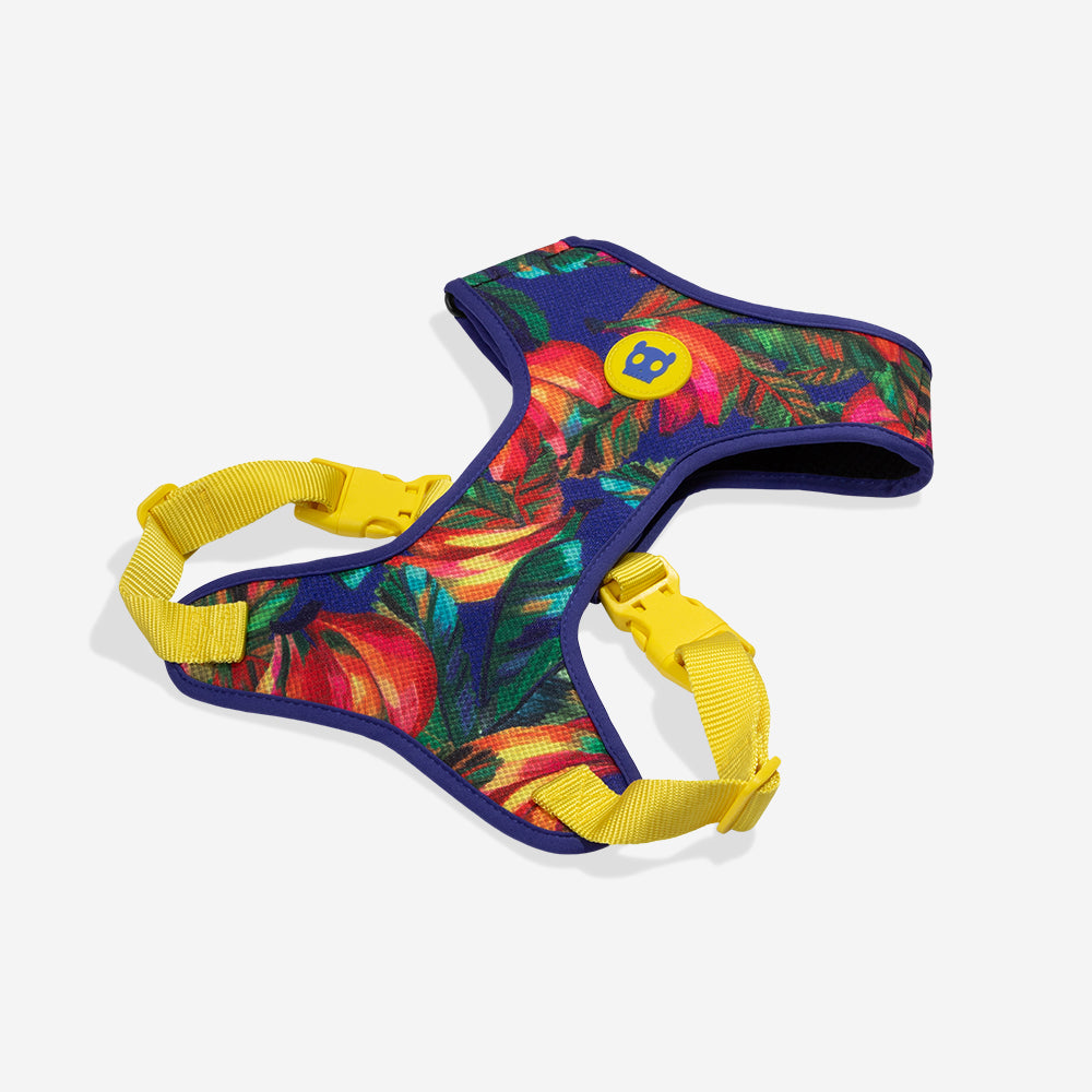 Zee.Dog Mesh Harness - Samba