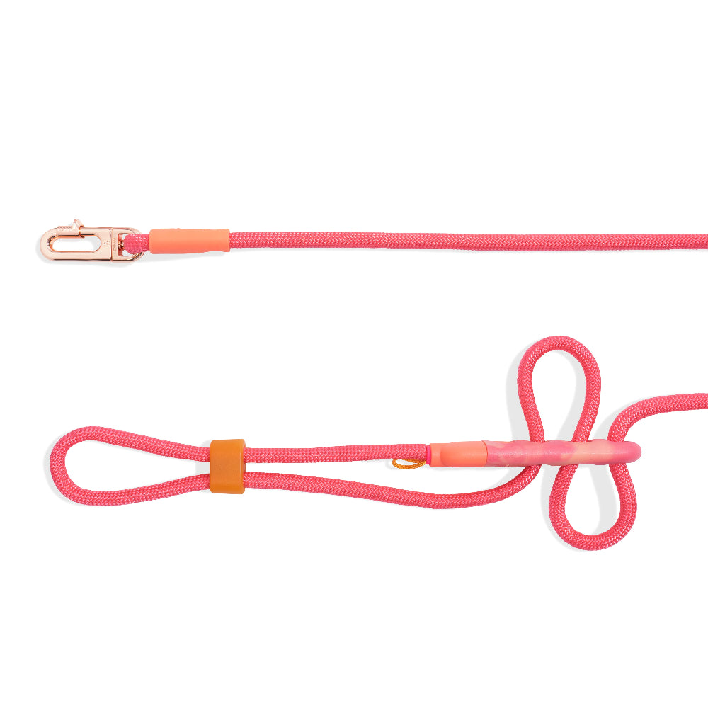 NEW!  Zee.Dog Hands-Free Leash - Gazelle