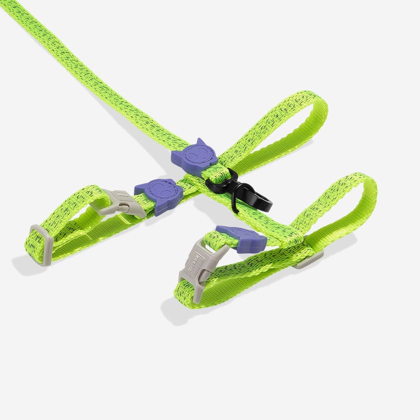 Zee.Cat Harness with Leash - Reflective Lumen