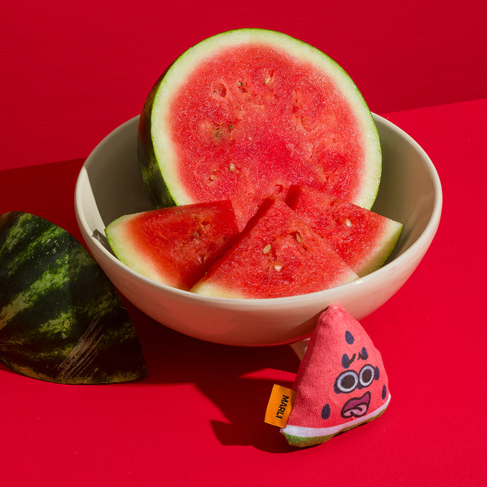 CDSG Cat Toy - Marli Watermelon