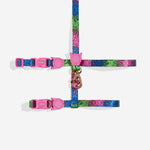 NEW!  Zee.Cat Harness with Leash - Melted