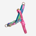 NEW!  Zee.Dog Softer Walk Harness - Melted
