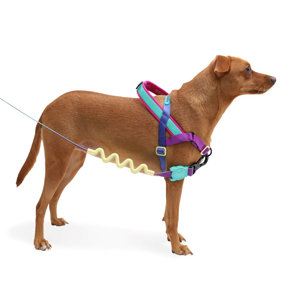 Zee.Dog Softer Walk Harness - Shockwave