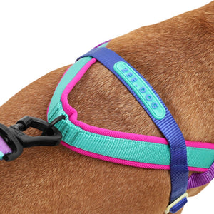 Zee.Dog Softer Walk Harness - Shockwave