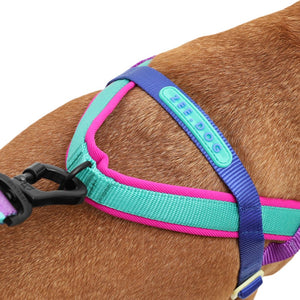 Ltd Edition, Sold Out : Zee.Dog Softer Walk Harness - Shockwave