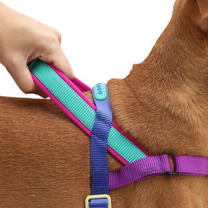 Ltd Edition, Sold Out : Zee.Dog Softer Walk Harness - Shockwave