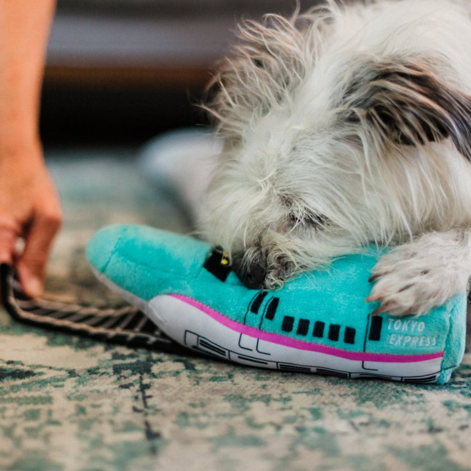 P.L.A.Y. Canine Commute Collection - Barking Bullet Train